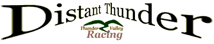 Distant Thunder logo
